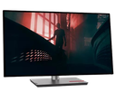 Lenovo ThinkVision P27h-30 / 27" QHD 2560x1440 / 27p IPS - 2560x1440 16:9 - 350cd/m2 - HDMI - DisplayPort -USB Hub LAN/RJ45
